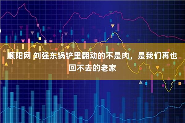 顺阳网 刘强东锅铲里翻动的不是肉，是我们再也回不去的老家