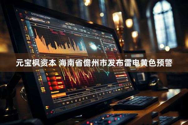 元宝枫资本 海南省儋州市发布雷电黄色预警