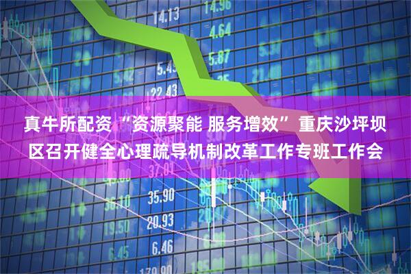 真牛所配资 “资源聚能 服务增效” 重庆沙坪坝区召开健全心理疏导机制改革工作专班工作会